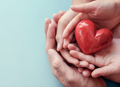 2024년 CSR 활동 이미지